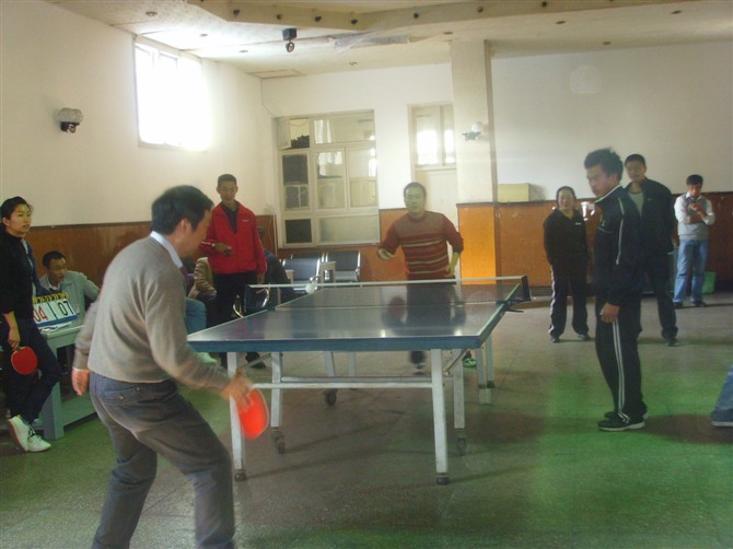 2010年乒乓球比赛