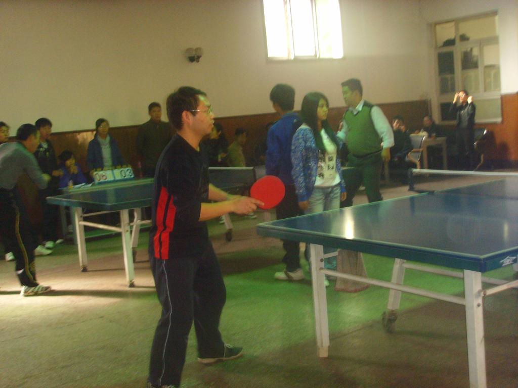 2010年乒乓球比赛